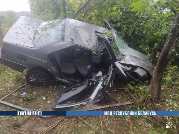 Ехала пьяная и без прав: суд в Каменце за ДТП приговорил женщину к 4 годам колонии-поселения Ехала пьяная и без прав: суд в Каменце за ДТП приговорил женщину к 4 годам колонии-поселения