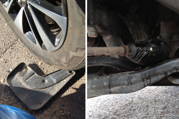 Собаки — это понятно. А посмотрите, что с машиной может сделать кот Собаки — это понятно. А посмотрите, что с машиной может сделать кот