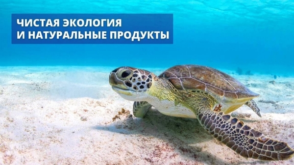 Семинар в Бресте «Недвижимость на Кипре: объекты с доходностью 8% годовых». Когда он пройдет и чем будет интересен?