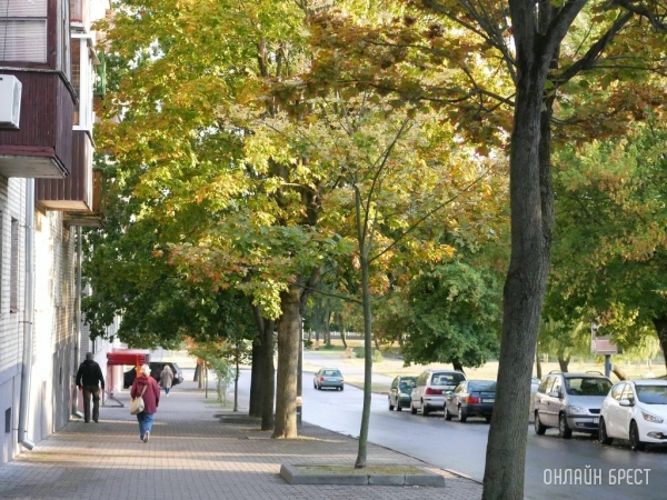 Белгидромет: в Беларуси с октября похолодает Белгидромет: в Беларуси с октября похолодает