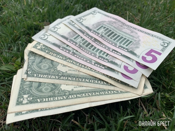 Жители Лиды производили незаконный обмен валюты: все деньги взысканы в доход государства Жители Лиды производили незаконный обмен валюты: все деньги взысканы в доход государства