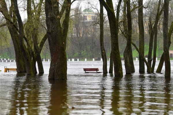 В Гомеле затопило главный городской пляж В Гомеле затопило главный городской пляж