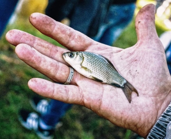 Житель Брестской области нарыбачил на уголовную статью Житель Брестской области нарыбачил на уголовную статью