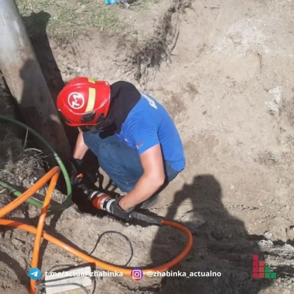 В Жабинке сотрудники МЧС спали щенка В Жабинке сотрудники МЧС спали щенка