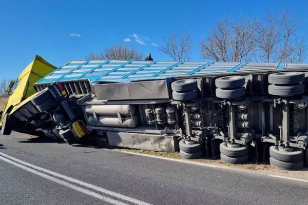 В Италии обернулась фура со свиньями, которых везли белорусы В Италии обернулась фура со свиньями, которых везли белорусы