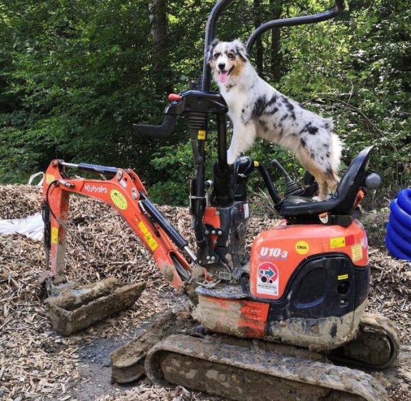 «Да хоть с крокодилом! Главное, чтобы в кабине было чисто!» Белоруска ушла в дальнобой и ездит... с собакой «Да хоть с крокодилом! Главное, чтобы в кабине было чисто!» Белоруска ушла в дальнобой и ездит... с собакой