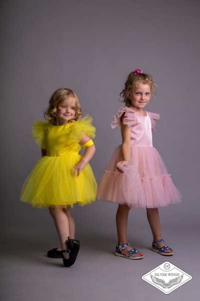 Модельно-хореографическое агентство «Серебряные крылья» приглашает детей и подростков на обучение в Бресте. Хореография, актерское мастерство, визаж, этикет и многое другое