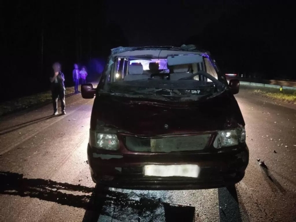 В Минском районе «Мерс» сбил лося. Пассажир в больнице В Минском районе «Мерс» сбил лося. Пассажир в больнице