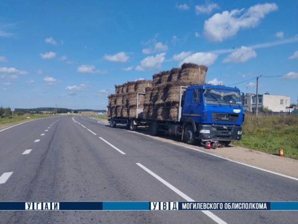 В Могилевской области грузовик насмерть сбил водителя мопеда