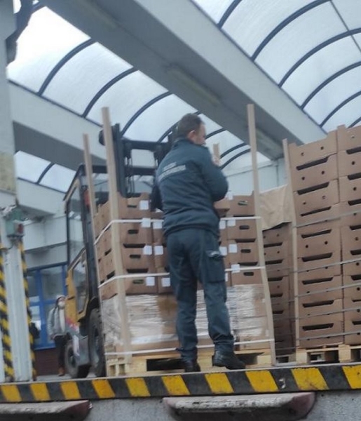 В фуре с огурцами польские таможенники нашли сигареты В фуре с огурцами польские таможенники нашли сигареты