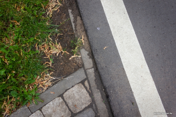 Как изменятся тело и фигура, если месяц заниматься бегом. Рассказывает белорус Как изменятся тело и фигура, если месяц заниматься бегом. Рассказывает белорус