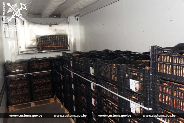 Брестские таможенники установили два факта незаконного ввоза в Беларусь луковиц тюльпанов Брестские таможенники установили два факта незаконного ввоза в Беларусь луковиц тюльпанов