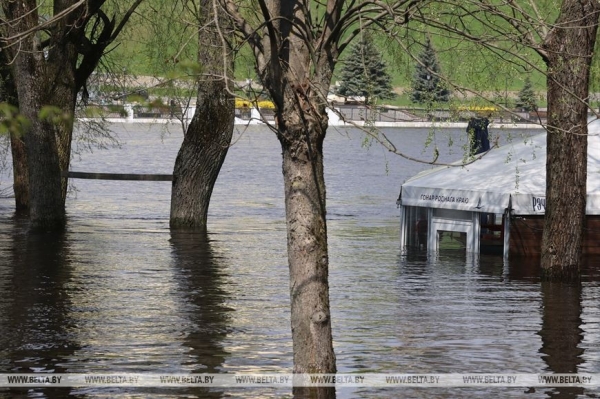 Паводок в Гомеле. Фотофакт Паводок в Гомеле. Фотофакт