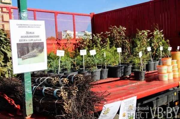 Цены и тенденции на сельхозярмарках в Бресте Цены и тенденции на сельхозярмарках в Бресте