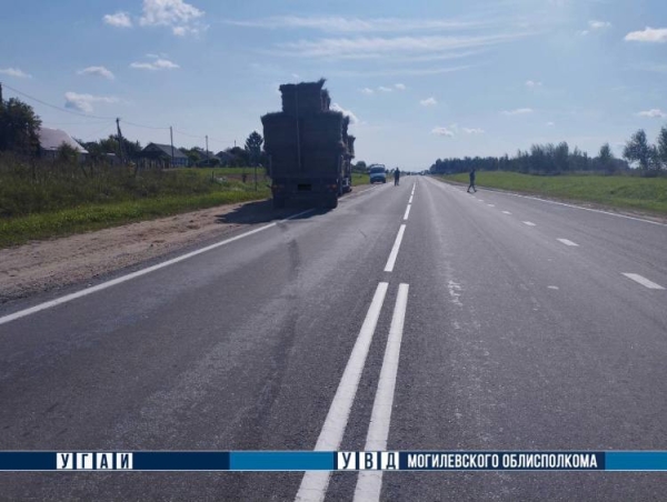 В Могилевской области грузовик насмерть сбил водителя мопеда