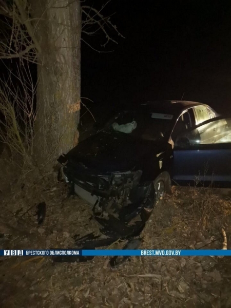 Водитель из Брестской области врезался в дерево Водитель из Брестской области врезался в дерево
