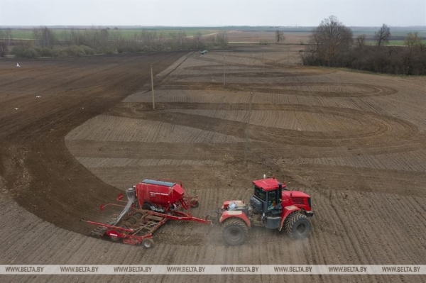 На Брестчине идёт посевная. Фотофакт На Брестчине идёт посевная. Фотофакт