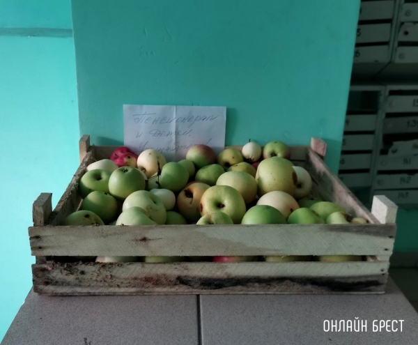 Читатель: Приятно был удивлен сегодня утром зайдя в один из домов по ул. Суворова в Бресте
             
                Читатель: Приятно был удивлен сегодня утром зайдя в один из домов по ул. Суворова в Бресте