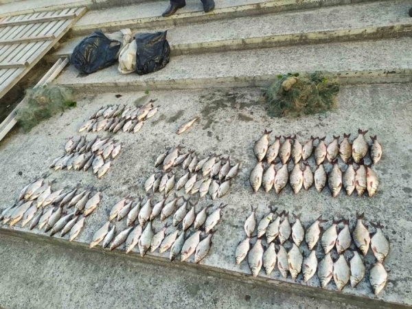 Незаконная рыбалка на гребной базе в Пинске закончилась возбуждением уголовного дела Незаконная рыбалка на гребной базе в Пинске закончилась возбуждением уголовного дела