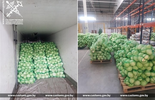 За неделю таможенники пресекли 5 попыток незаконно вывезти из Беларуси 95 т свежей капусты За неделю таможенники пресекли 5 попыток незаконно вывезти из Беларуси 95 т свежей капусты