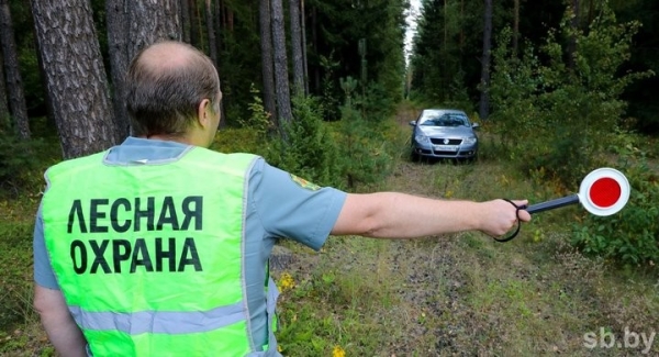 Под запретом — почти вся Брестская область. Где нельзя посещать леса? Под запретом — почти вся Брестская область. Где нельзя посещать леса?