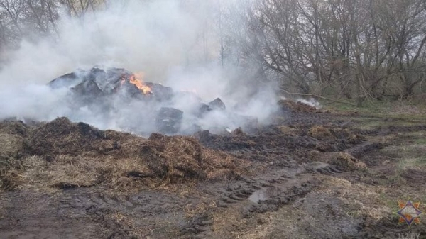 Уничтожено 20 тонн. В Каменецком районе горела скирда соломы Уничтожено 20 тонн. В Каменецком районе горела скирда соломы