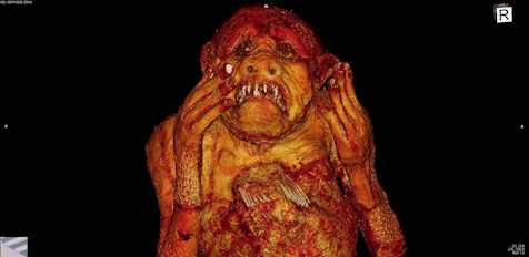 Ученым удалось исследовать русалку из японского храма. Там все очень странно Ученым удалось исследовать русалку из японского храма. Там все очень странно