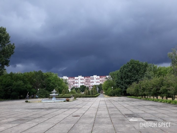 Сильный ветер сохранится в Беларуси 28 марта: что он уже наделал Сильный ветер сохранится в Беларуси 28 марта: что он уже наделал