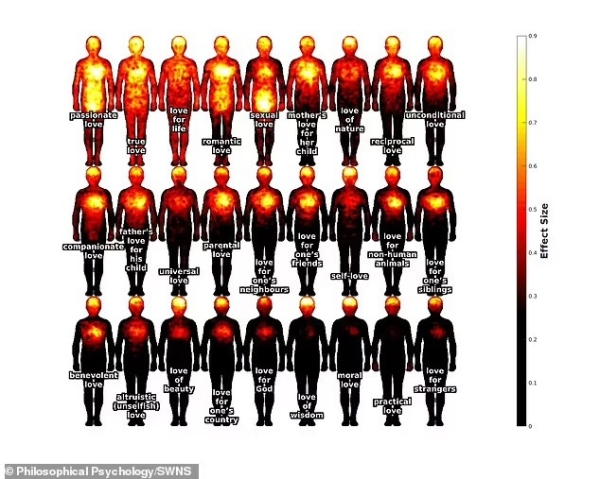 Где живёт любовь? Ученые составили «телесную карту» этого чувства Где живёт любовь? Ученые составили «телесную карту» этого чувства