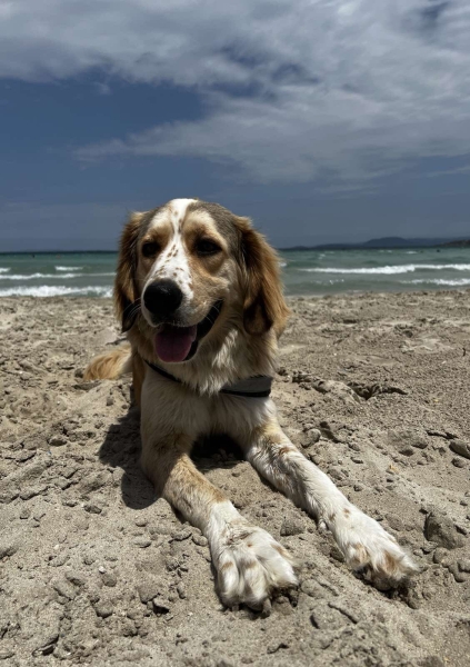В Турцию через Европу на автомобиле. Белорусы о затратах на топливо и нюансах поездки