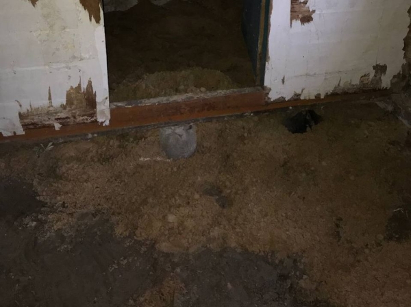 Девушка уехала из столицы в деревню в Березовском районе и нашла себе там дело — ремонтирует дом прадеда. И вот что у нее получилось Девушка уехала из столицы в деревню в Березовском районе и нашла себе там дело — ремонтирует дом прадеда. И вот что у нее получилось