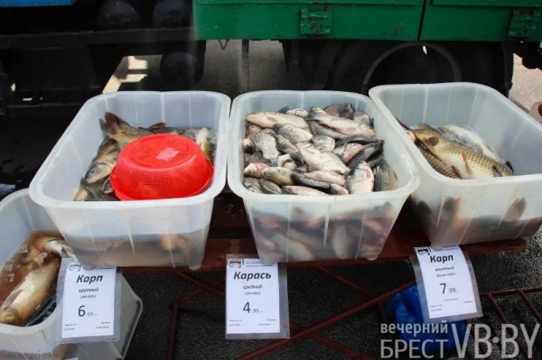 Цены и тенденции на сельхозярмарках в Бресте Цены и тенденции на сельхозярмарках в Бресте