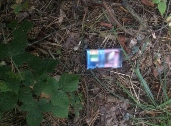 16-летний парень из Брестского района стал закладчиком психотропов и ожидает суда