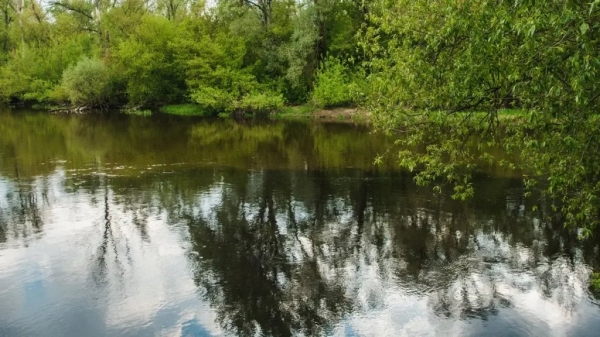 Кто следит за состоянием Мухавца? Кто следит за состоянием Мухавца?