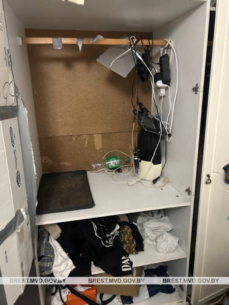 Задержан брестчанин, который выращивал в квартире коноплю Задержан брестчанин, который выращивал в квартире коноплю