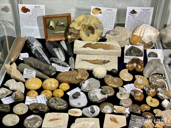 Экспозиция, которая вас удивит! Большой фоторепортаж с выставки «В мире самоцветов» в Бресте, посвященной эксклюзивным украшениям