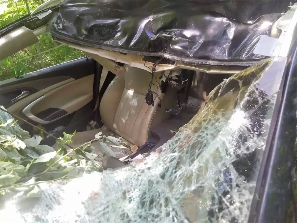 В Беларуси «Опель» сбил насмерть лося – пострадали водитель и пассажирка В Беларуси «Опель» сбил насмерть лося – пострадали водитель и пассажирка