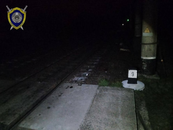 В Жабинковском районе поезд насмерть сбил мужчину В Жабинковском районе поезд насмерть сбил мужчину