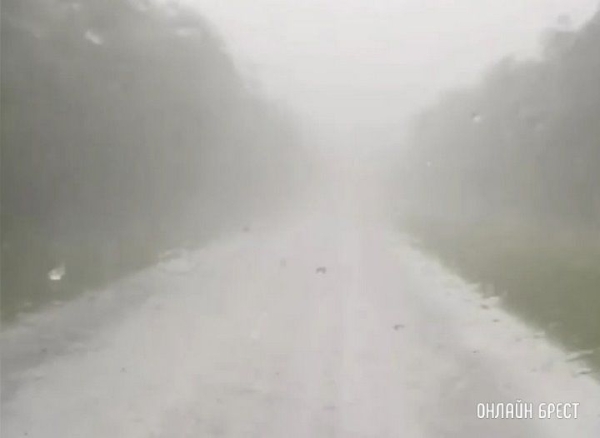Очевидец: Нормально так дождь поливает! Брестская область, дорога с Видомли на Высокое
Очевидец: Нормально так дождь поливает! Брестская область, дорога с Видомли на Высокое