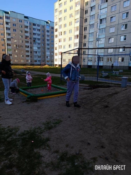 Читатель: Выкопали ямы на нашей алее рядом с песочницей. Вчера туда упал ребёнок
             
                Читатель: Выкопали ямы на нашей алее рядом с песочницей. Вчера туда упал ребёнок