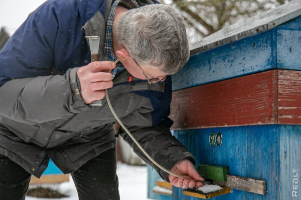 «Летом здесь гул — как на аэродроме». Семья переехала из столицы в старый дом в глухой деревне — и не жалеет «Летом здесь гул — как на аэродроме». Семья переехала из столицы в старый дом в глухой деревне — и не жалеет