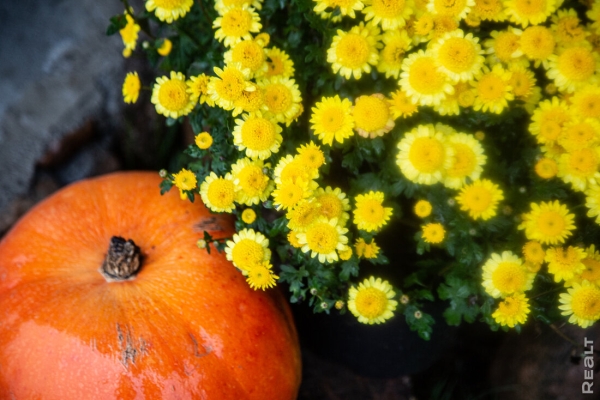 Девушка уехала из столицы в деревню в Березовском районе и нашла себе там дело — ремонтирует дом прадеда. И вот что у нее получилось Девушка уехала из столицы в деревню в Березовском районе и нашла себе там дело — ремонтирует дом прадеда. И вот что у нее получилось