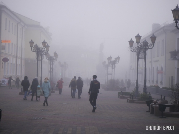 Сколько человек в Брестской области прошли полный курс вакцинации от COVID Сколько человек в Брестской области прошли полный курс вакцинации от COVID