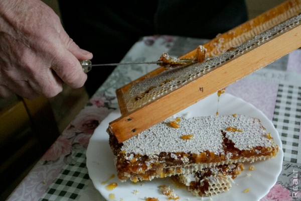 «Летом здесь гул — как на аэродроме». Семья переехала из столицы в старый дом в глухой деревне — и не жалеет «Летом здесь гул — как на аэродроме». Семья переехала из столицы в старый дом в глухой деревне — и не жалеет