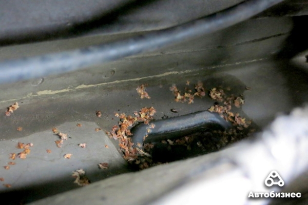 Из-за чего потеют стекла, как их быстро очистить и можно ли решить проблему принципиально