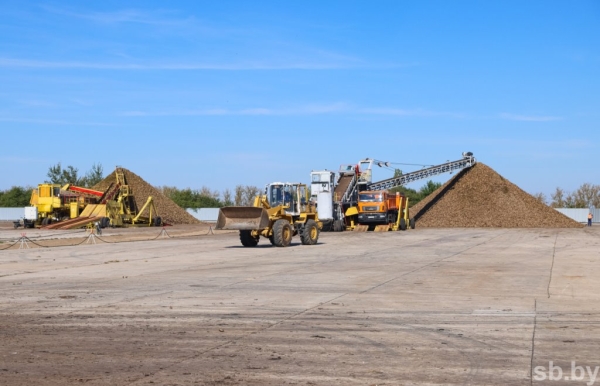 В Брестской области накопано 370 тысяч тонн сахарной свеклы В Брестской области накопано 370 тысяч тонн сахарной свеклы