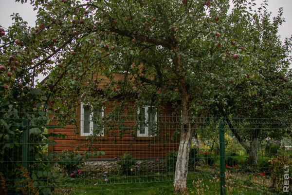 «Картинка почти никогда не передает реальность». Как молодая пара искала дом своей мечты