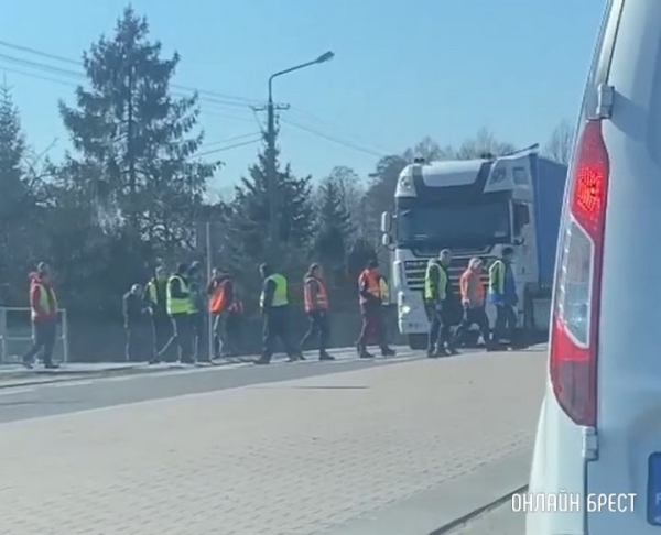 ГПК: очередь в пункте пропуска «Кукурыки-Козловичи» растянулась на десятки километров ГПК: очередь в пункте пропуска «Кукурыки-Козловичи» растянулась на десятки километров