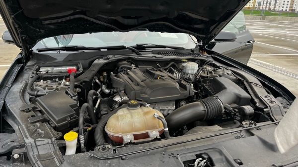 «Три года копила!» Блогер из Беларуси купила Ford Mustang, а теперь мечтает о машине в пять раз дороже «Три года копила!» Блогер из Беларуси купила Ford Mustang, а теперь мечтает о машине в пять раз дороже