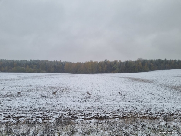 В Беларуси выпал снег В Беларуси выпал снег